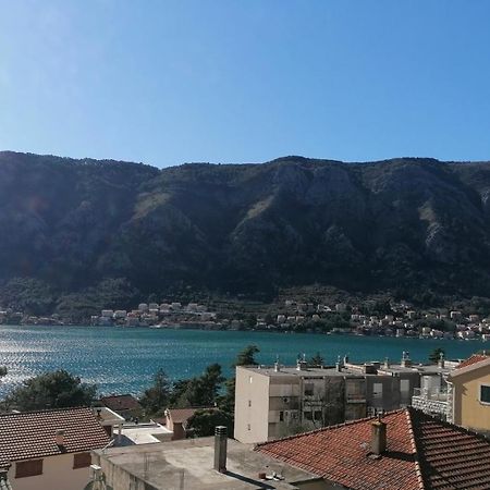Albatros Apartment Kotor Ngoại thất bức ảnh