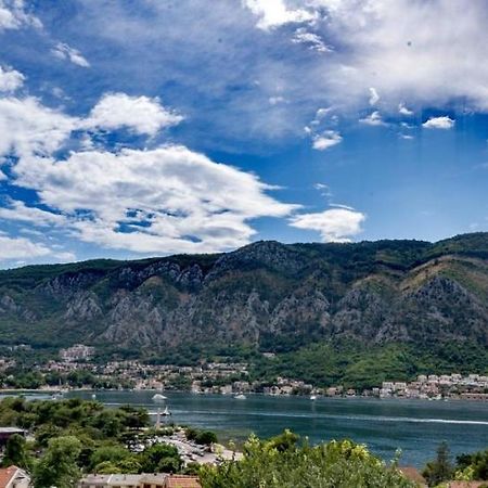 Albatros Apartment Kotor Ngoại thất bức ảnh