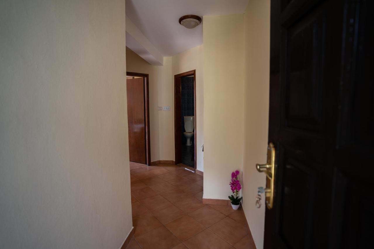 Albatros Apartment Kotor Ngoại thất bức ảnh
