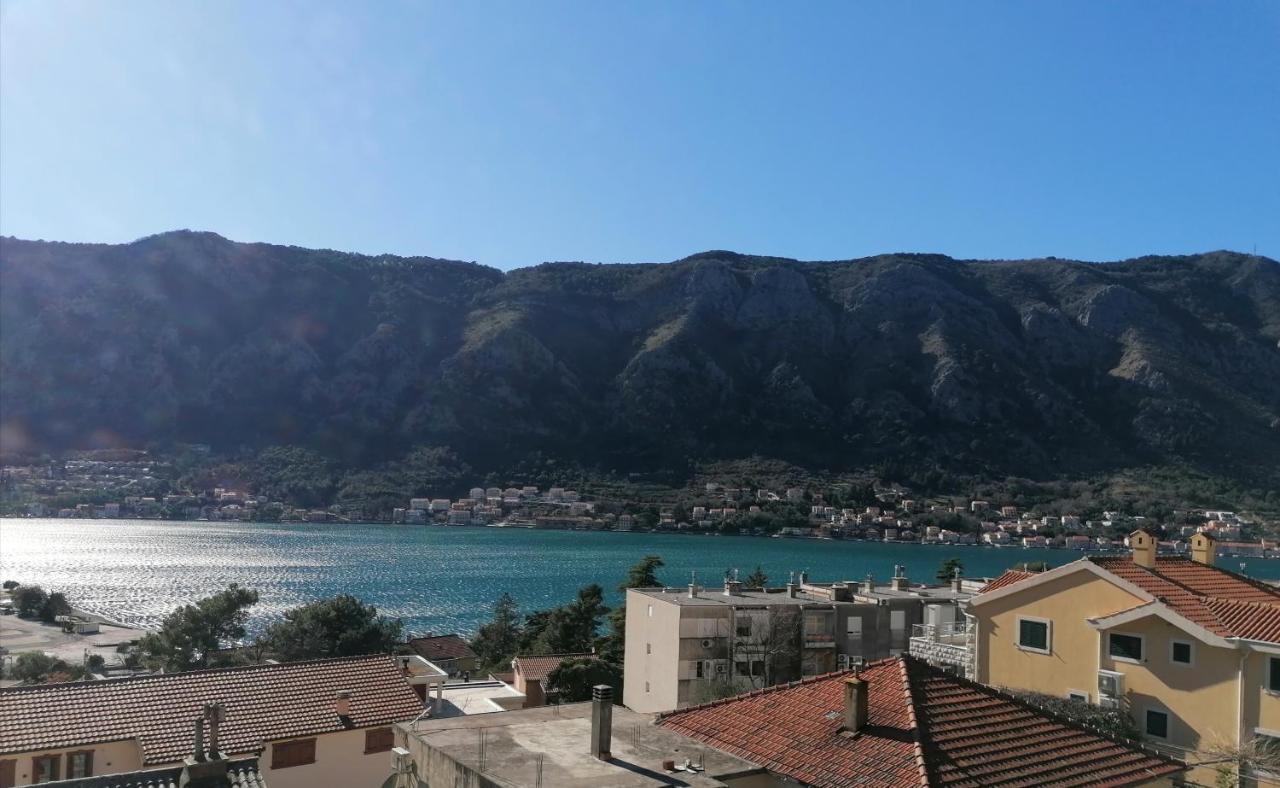 Albatros Apartment Kotor Ngoại thất bức ảnh